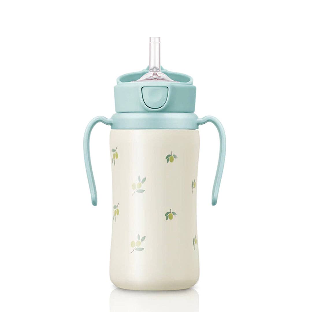 Grosmimi Stainless Steel Straw Cup with Flip Top - 10oz (300ml): Air Balloon_Blue