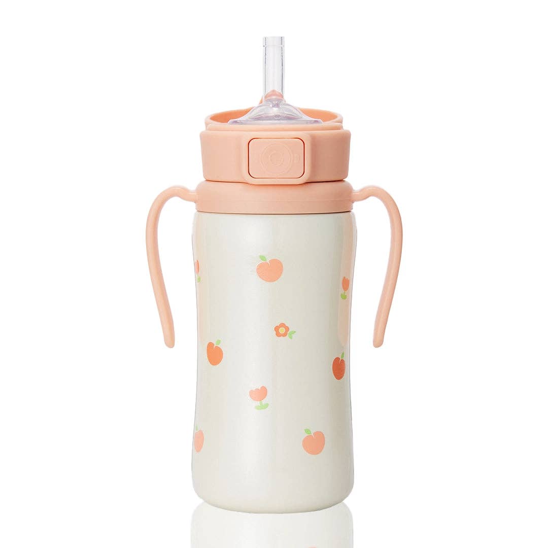Grosmimi Stainless Steel Straw Cup with Flip Top - 10oz (300ml): Air Balloon_Blue