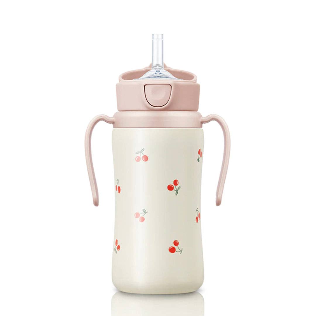 Grosmimi Stainless Steel Straw Cup with Flip Top - 10oz (300ml): Air Balloon_Blue