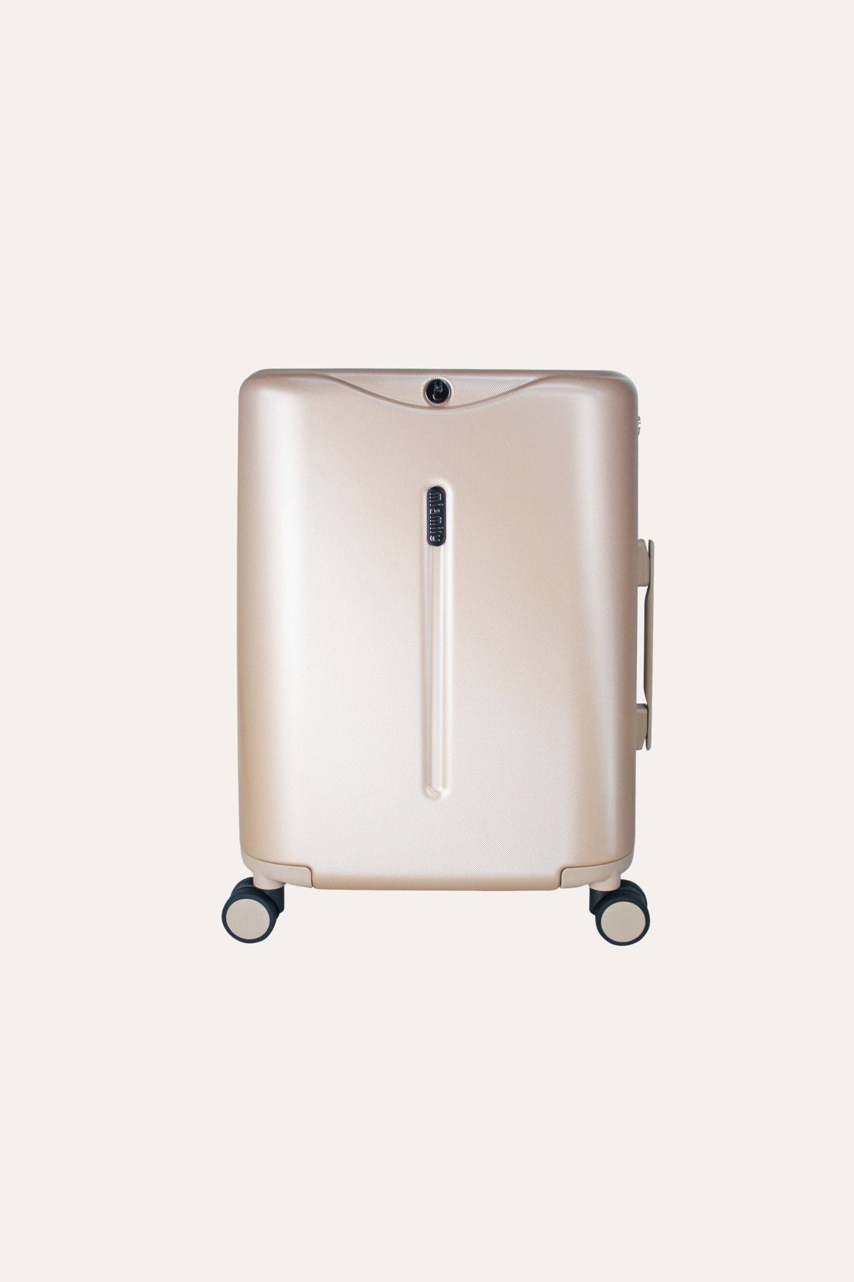 Carry On: Dusty Pink